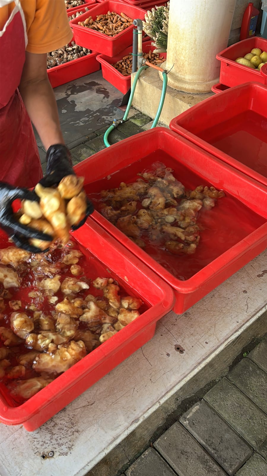 Nohyoghi Company Gallery 6